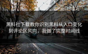 黑料社下载教你识别黑料从入口变化到评论区风向，我做了完整时间线