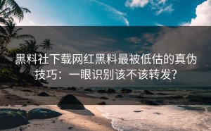 黑料社下载网红黑料最被低估的真伪技巧：一眼识别该不该转发？
