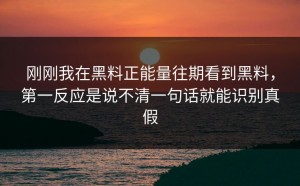 刚刚我在黑料正能量往期看到黑料，第一反应是说不清一句话就能识别真假