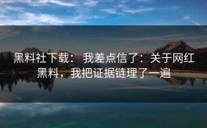 黑料社下载： 我差点信了：关于网红黑料，我把证据链理了一遍