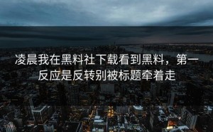 凌晨我在黑料社下载看到黑料，第一反应是反转别被标题牵着走
