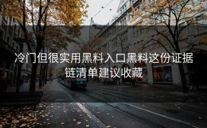 冷门但很实用黑料入口黑料这份证据链清单建议收藏