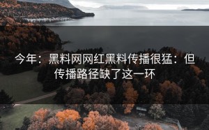 今年：黑料网网红黑料传播很猛：但传播路径缺了这一环