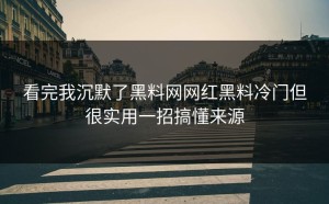 看完我沉默了黑料网网红黑料冷门但很实用一招搞懂来源