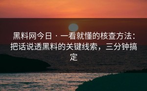 黑料网今日 · 一看就懂的核查方法：把话说透黑料的关键线索，三分钟搞定
