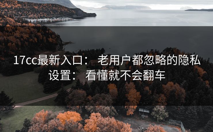 17cc最新入口： 老用户都忽略的隐私设置： 看懂就不会翻车