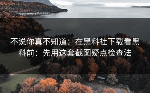 不说你真不知道：在黑料社下载看黑料前：先用这套截图疑点检查法