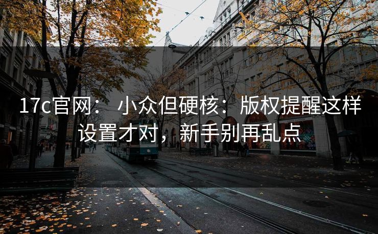 17c官网： 小众但硬核：版权提醒这样设置才对，新手别再乱点