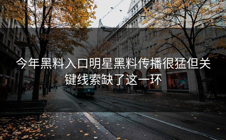 今年黑料入口明星黑料传播很猛但关键线索缺了这一环